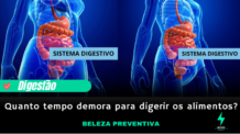 Quanto tempo demora para digerir os alimentos?
